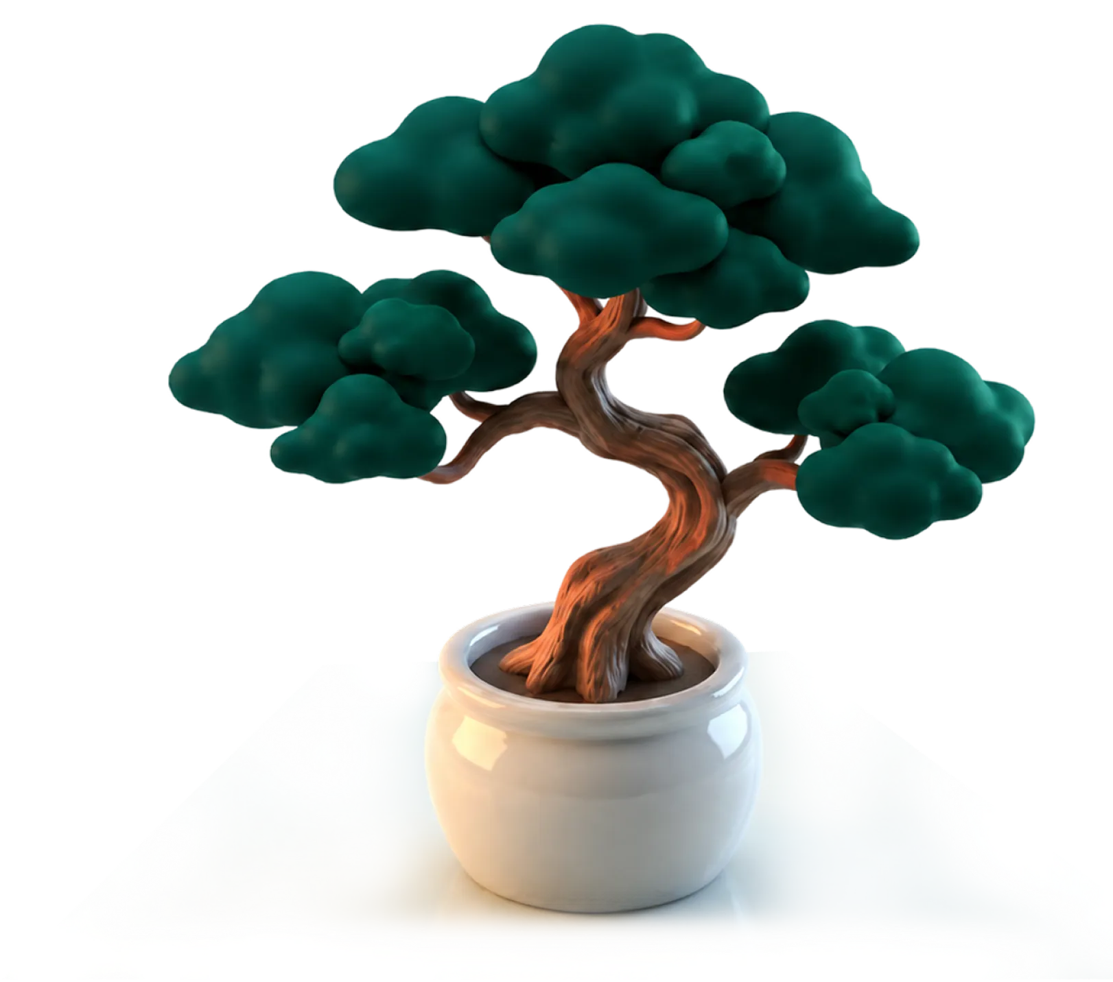 Bonsai tree