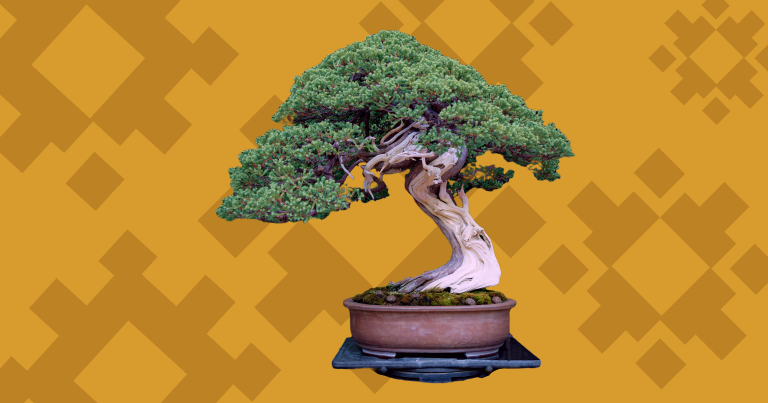 Devurai tree with the yellow background