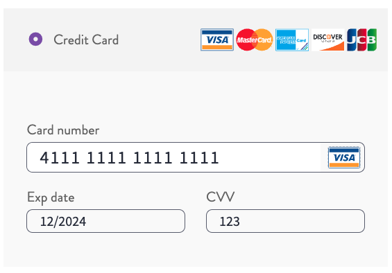 Screenshot showing credit card fields